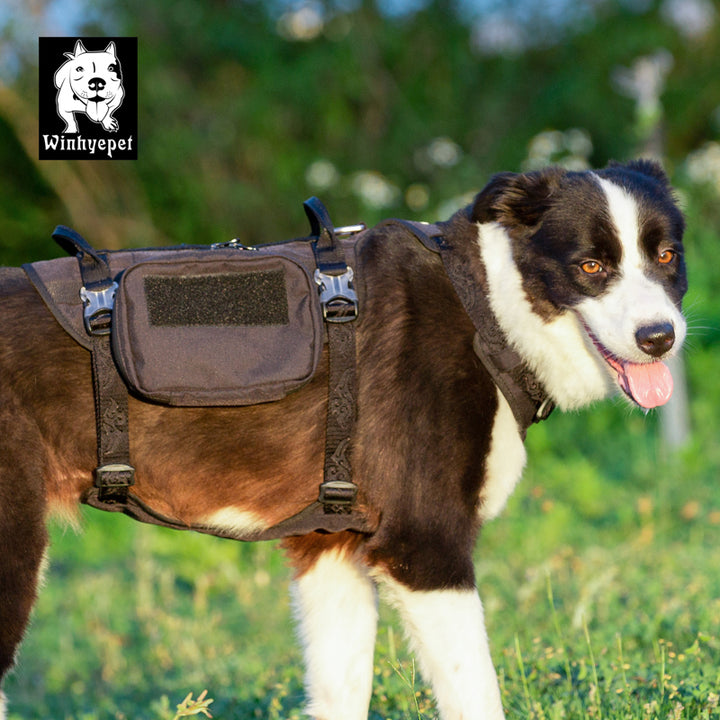 Whinhyepet Military Harness