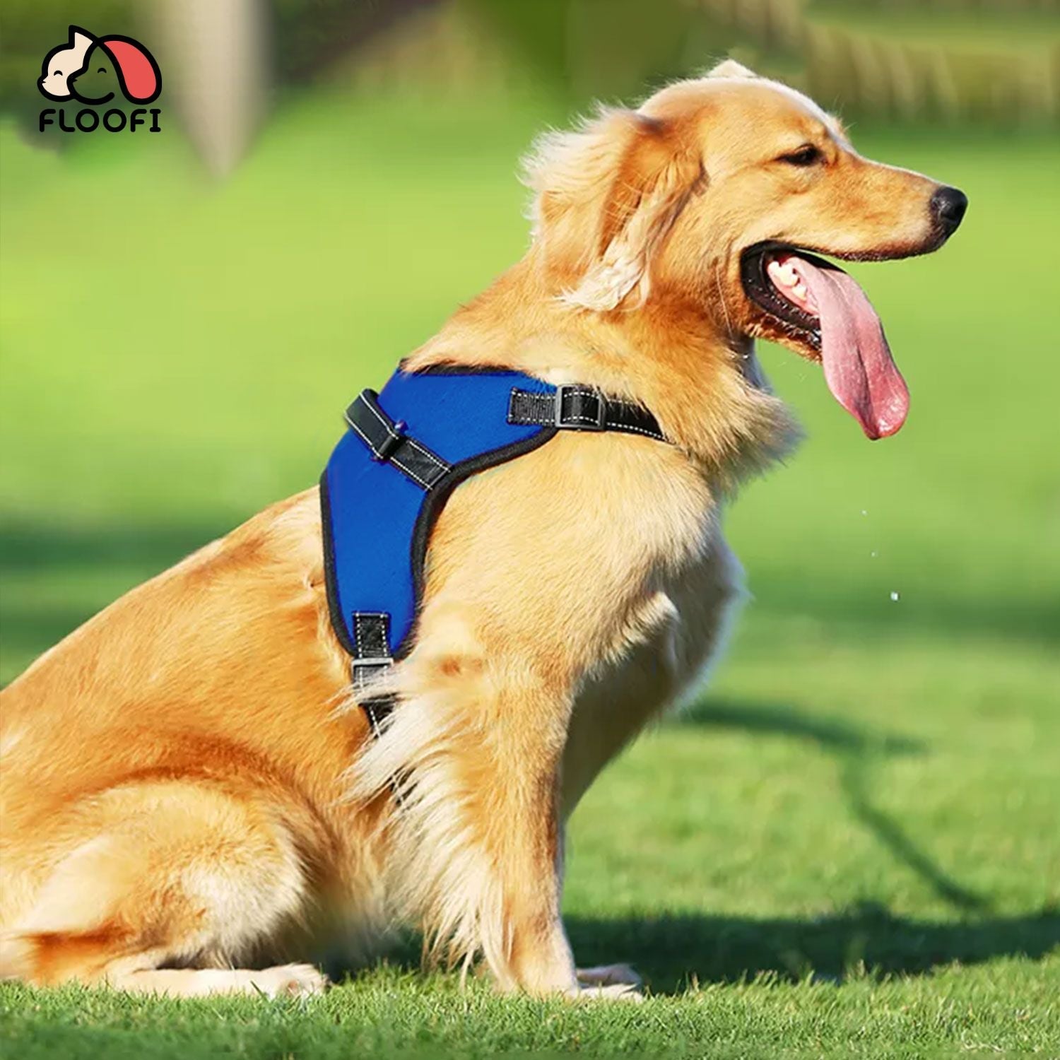 FLOOFI Dog Harness