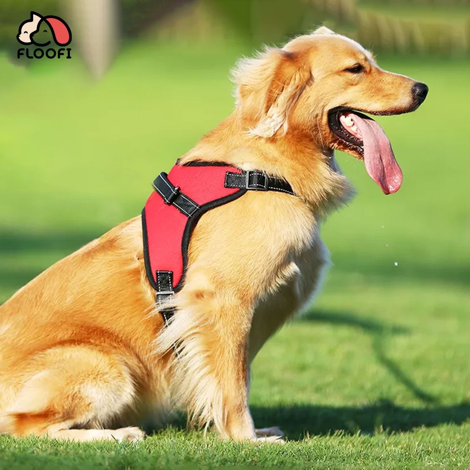 FLOOFI Dog Harness