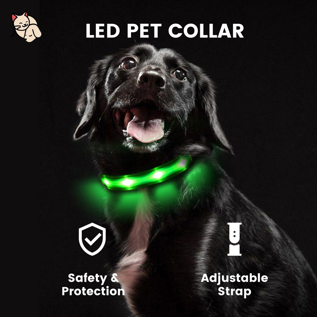 Floofi LED Dog Collar