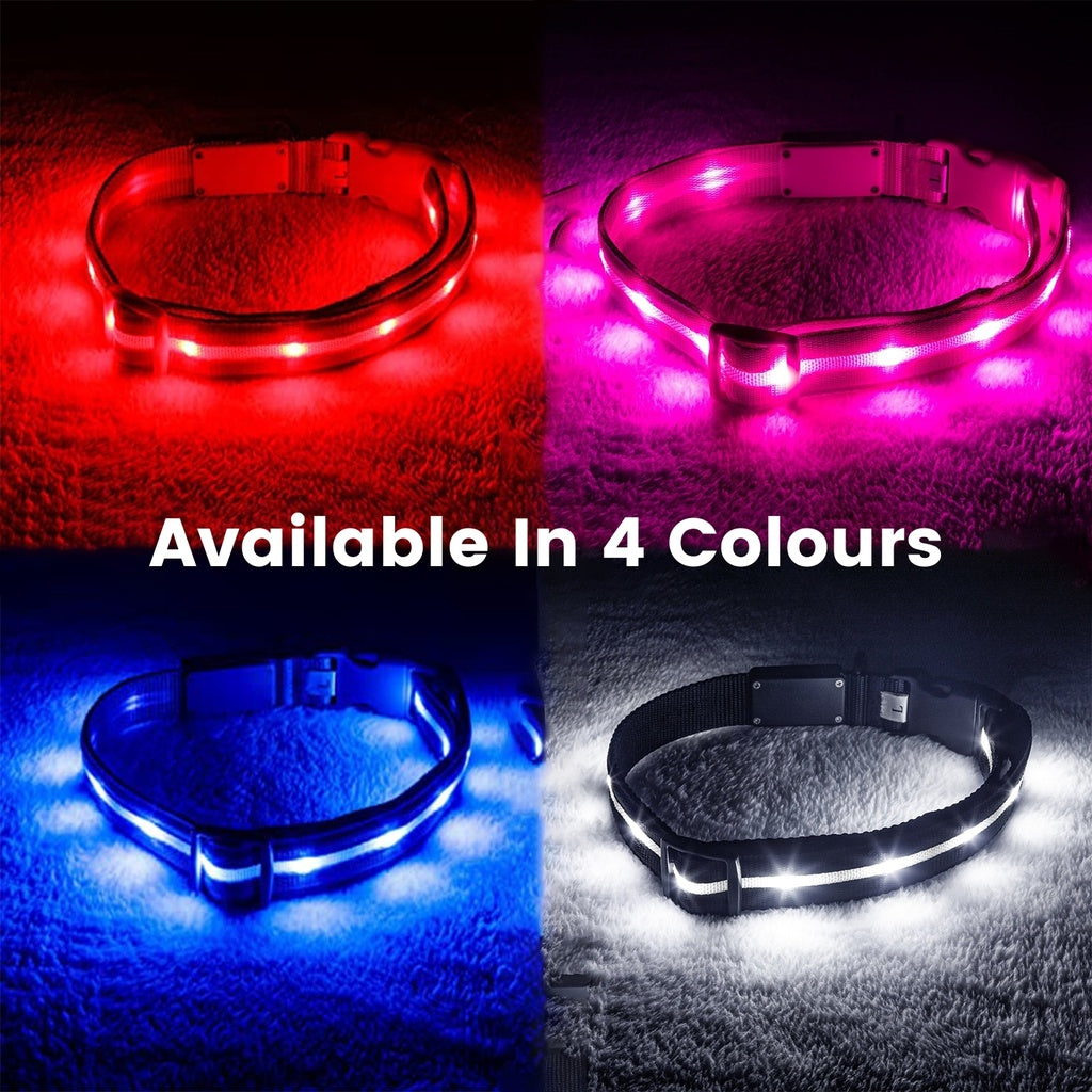 Floofi LED Dog Collar