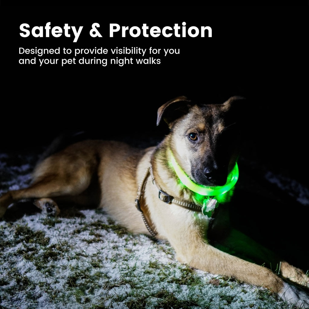 Floofi LED Dog Collar