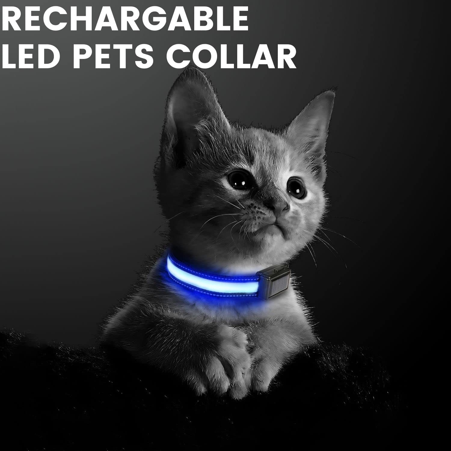 Floofi Solar USB Rechargable LED Dog Collar