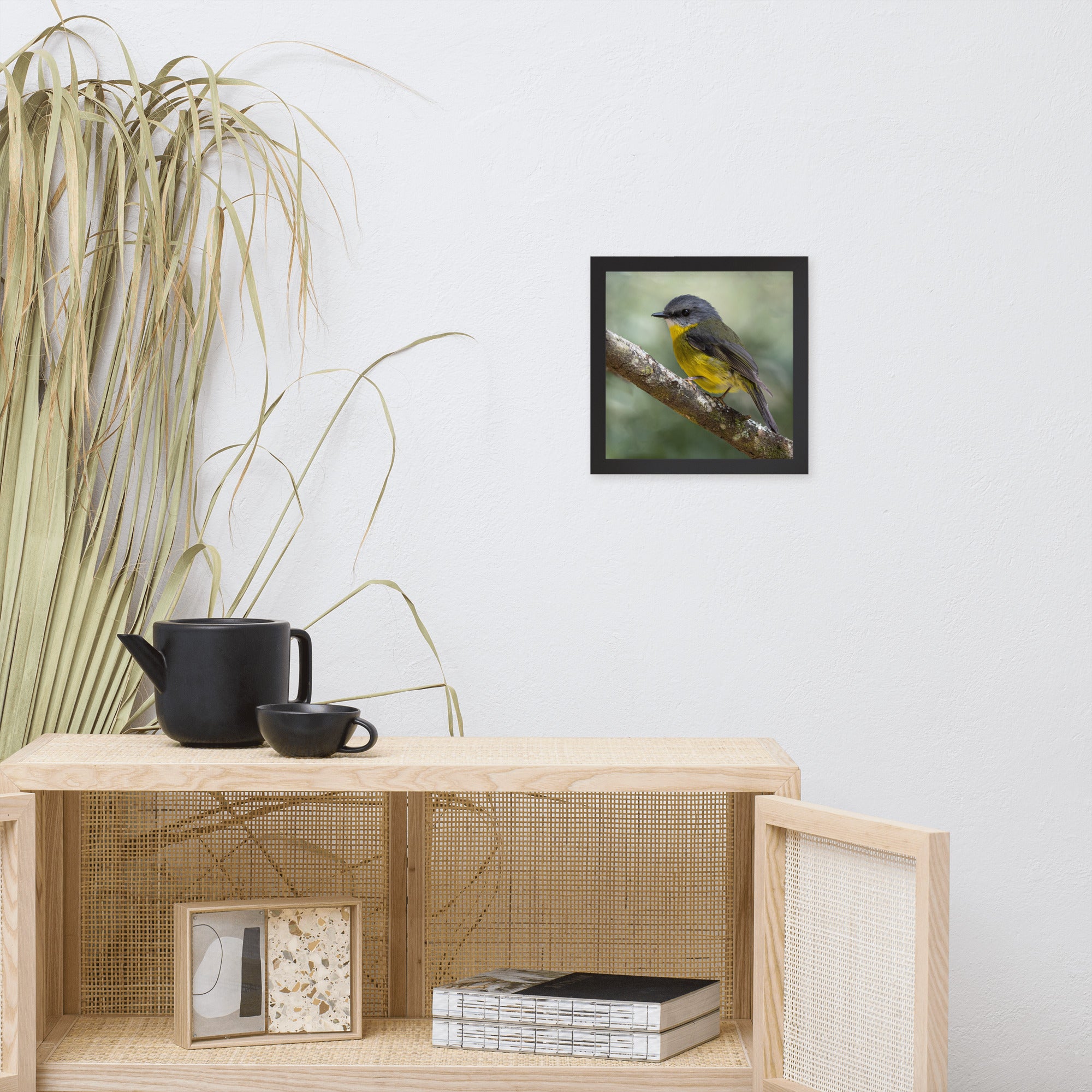 Eastern Yellow Robin (aussieviewfinder Gembrook Victoria) - Framed poster