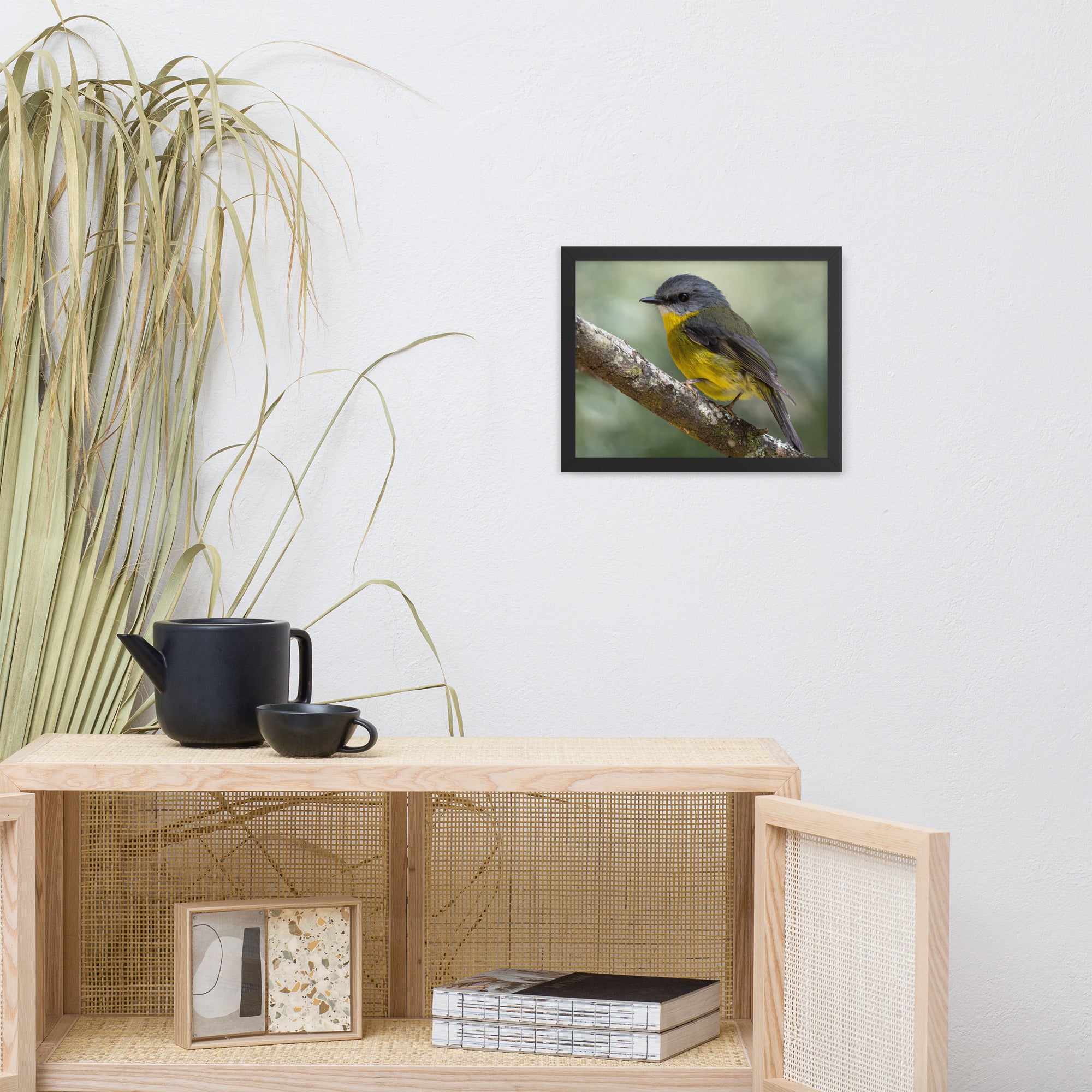 Eastern Yellow Robin (aussieviewfinder Gembrook Victoria) - Framed poster