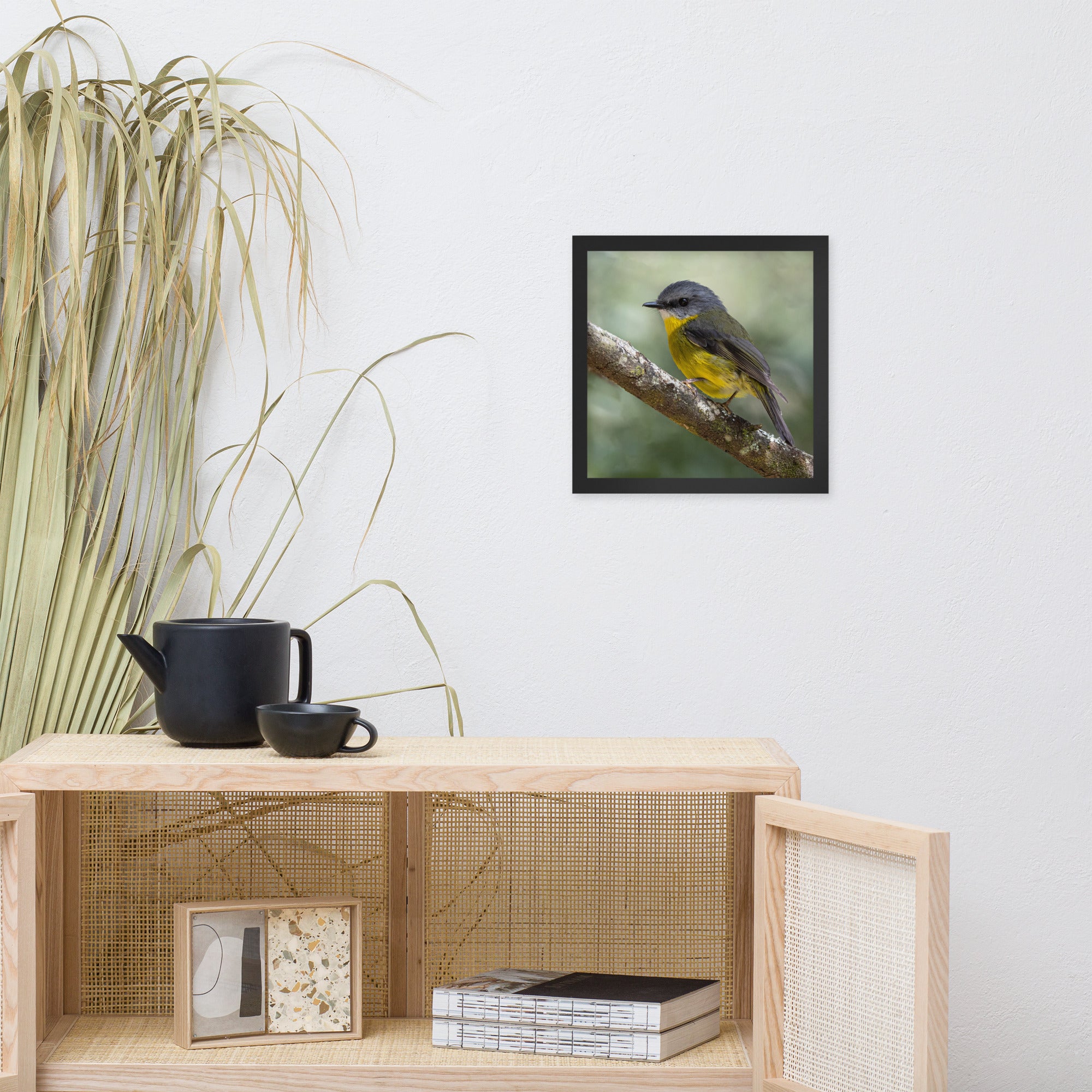 Eastern Yellow Robin (aussieviewfinder Gembrook Victoria) - Framed poster