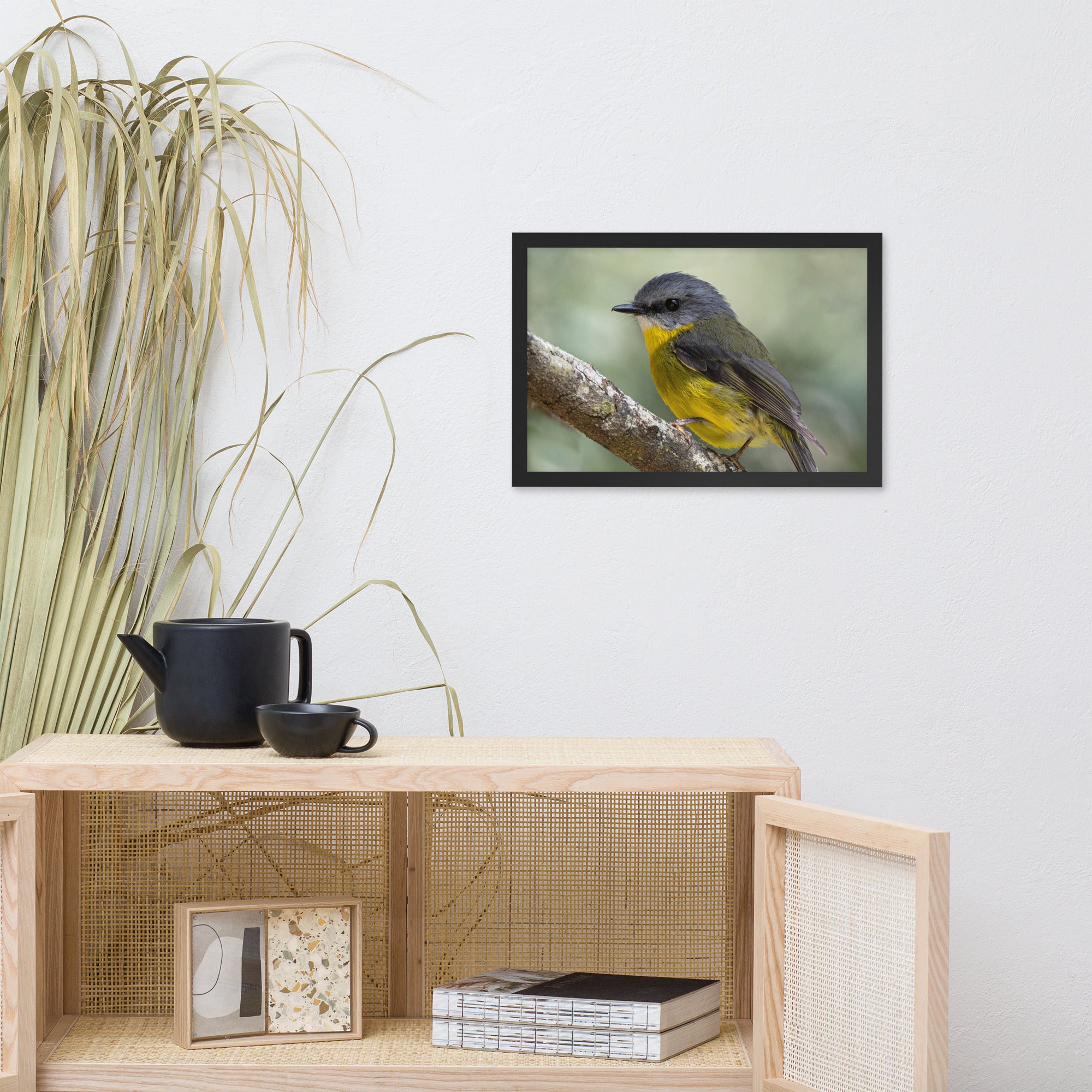 Eastern Yellow Robin (aussieviewfinder Gembrook Victoria) - Framed poster