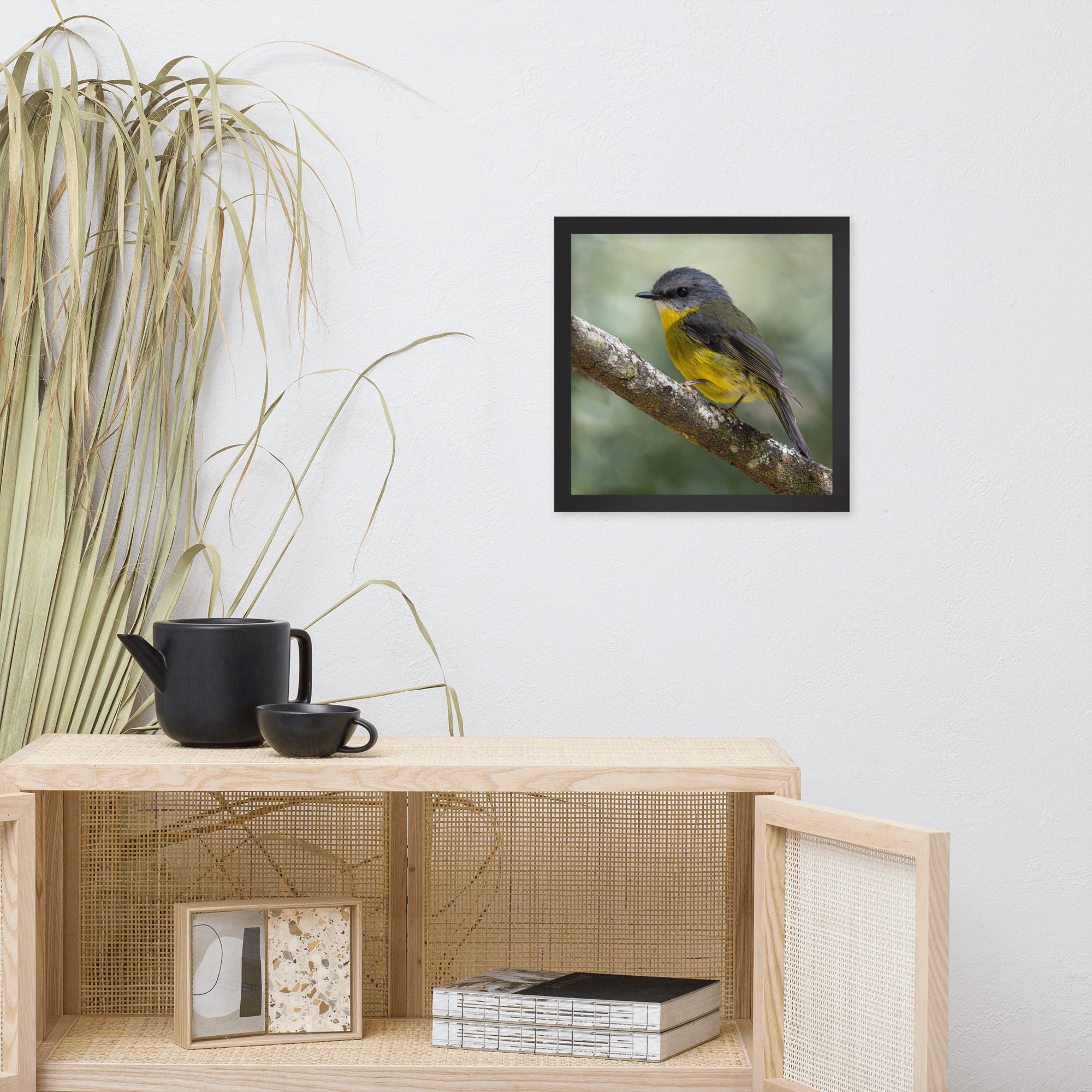 Eastern Yellow Robin (aussieviewfinder Gembrook Victoria) - Framed poster