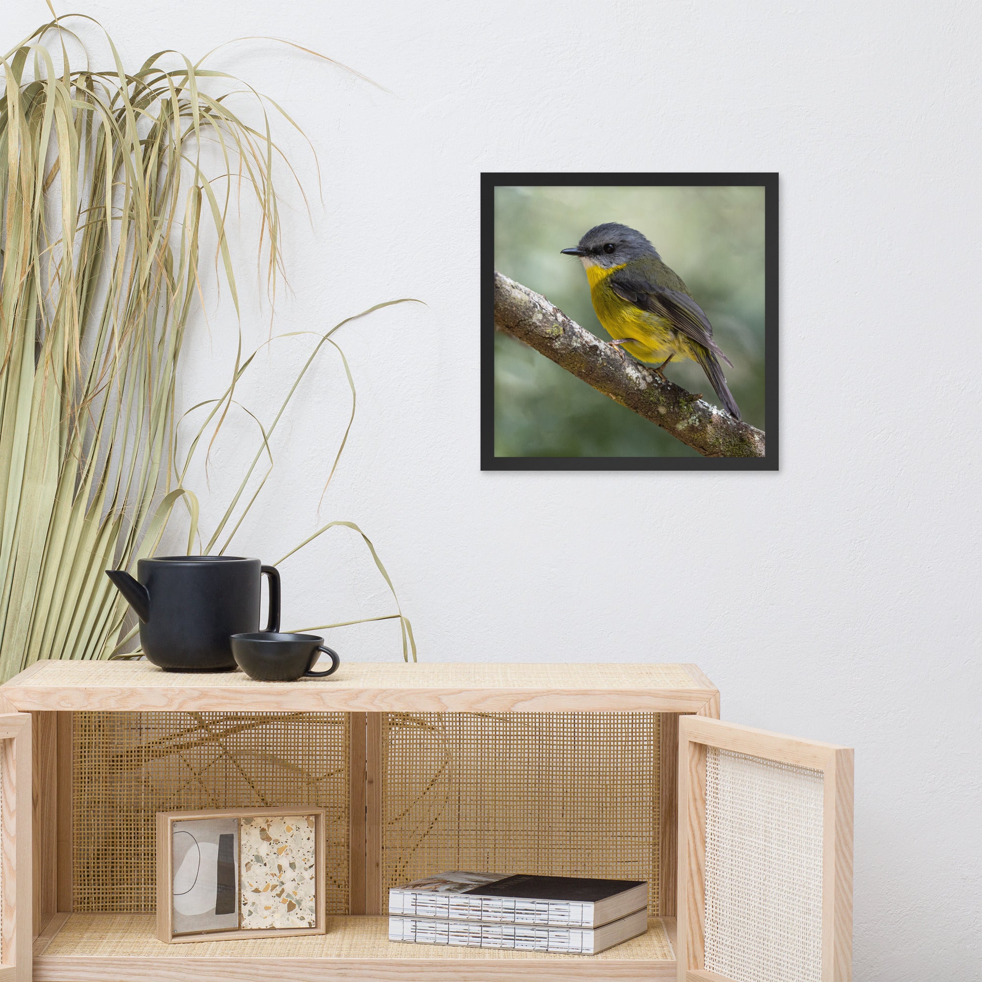 Eastern Yellow Robin (aussieviewfinder Gembrook Victoria) - Framed poster