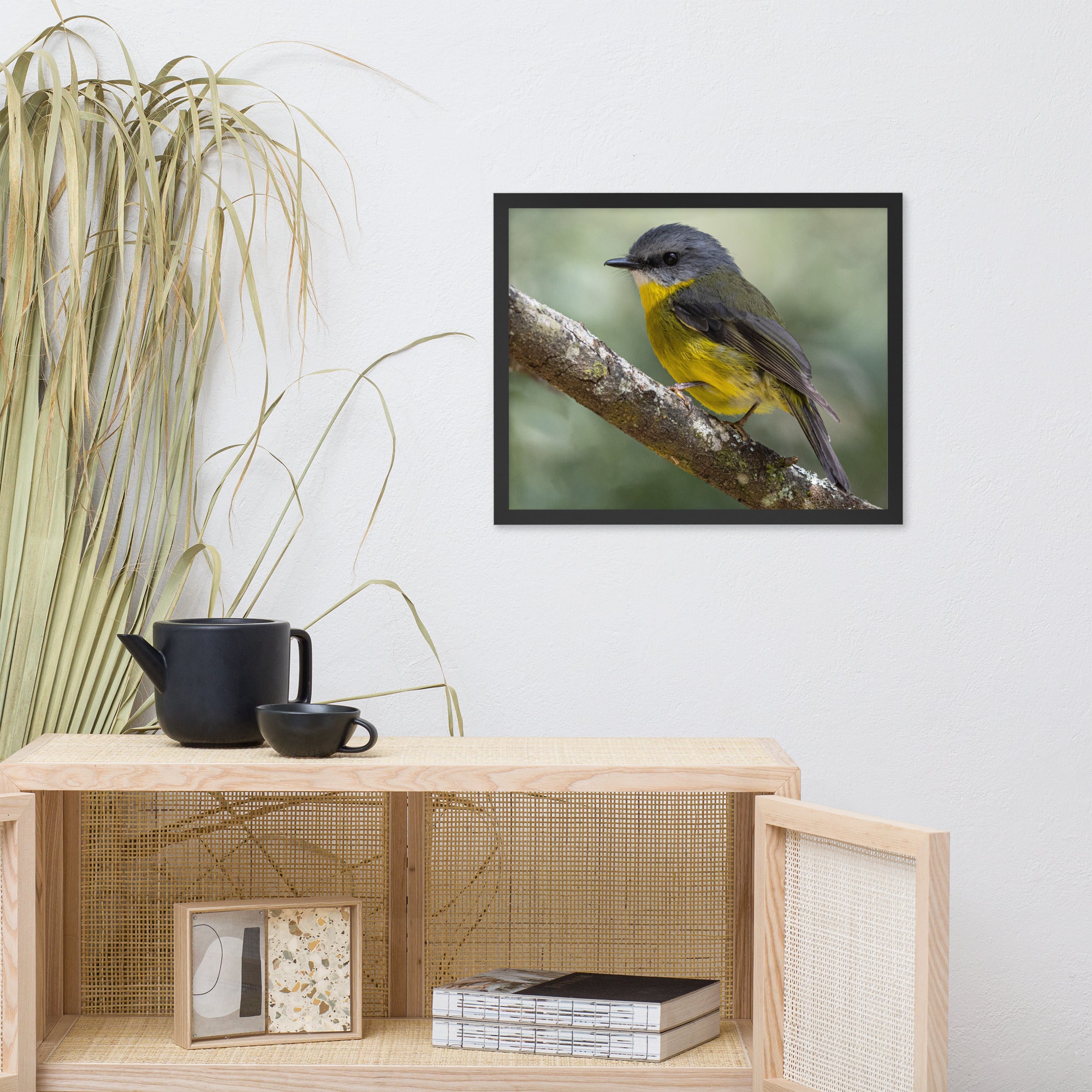 Eastern Yellow Robin (aussieviewfinder Gembrook Victoria) - Framed poster