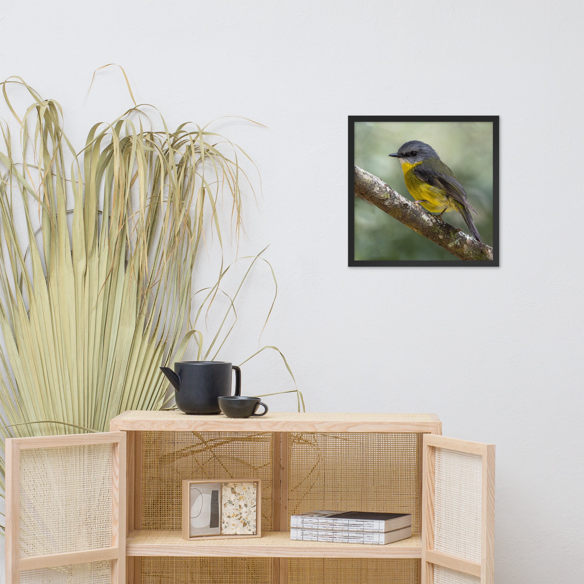 Eastern Yellow Robin (aussieviewfinder Gembrook Victoria) - Framed poster