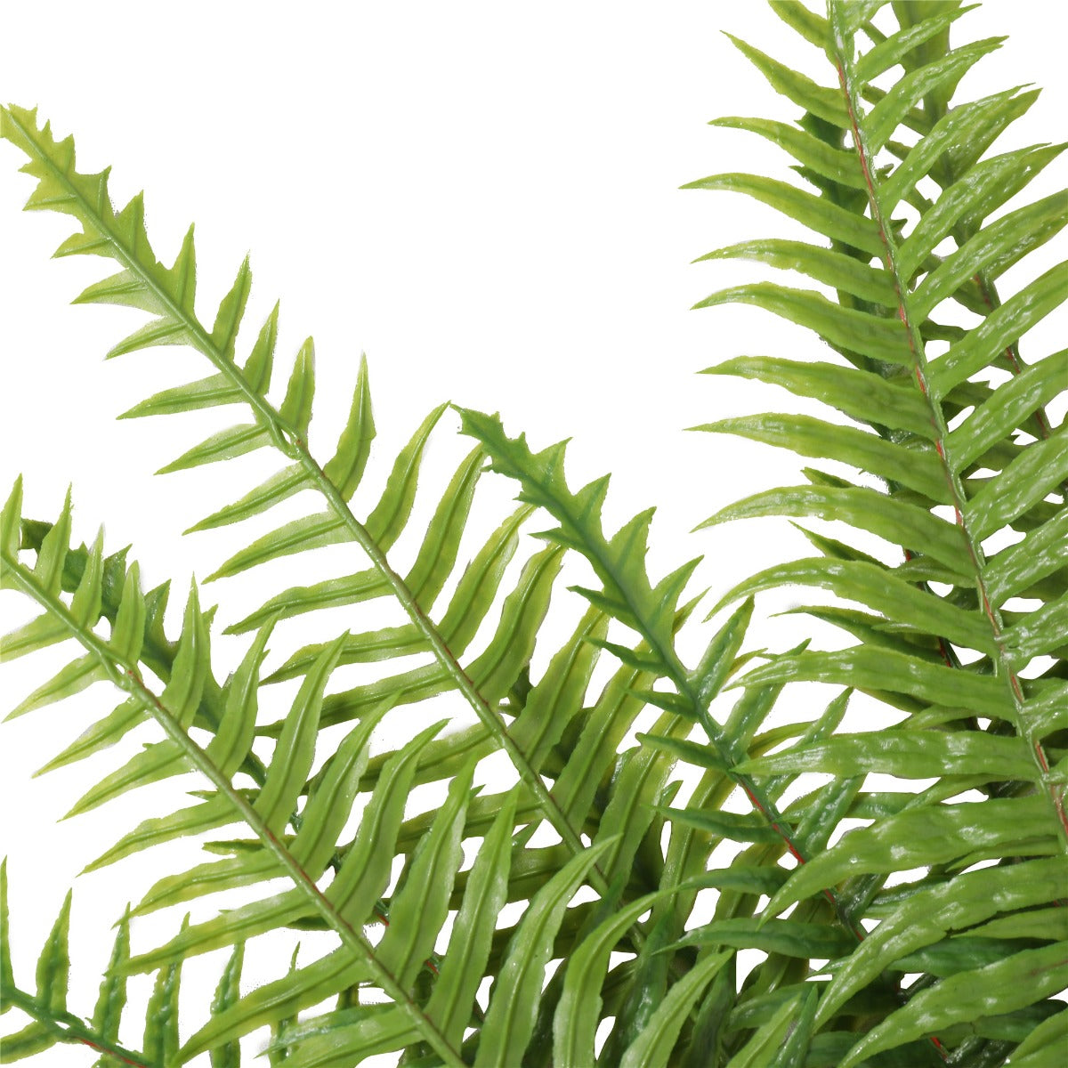 Artificial Fern (Lady Fern) 50cm UV Resistant