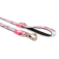 Max & Molly Smart ID Dog Leash - Cherry Bloom