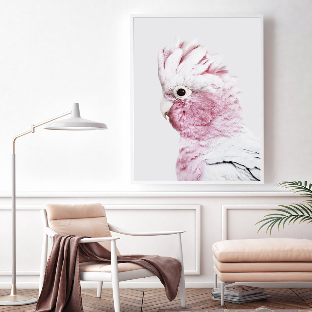 80cmx120cm Pink Galah White Frame Canvas Wall Art