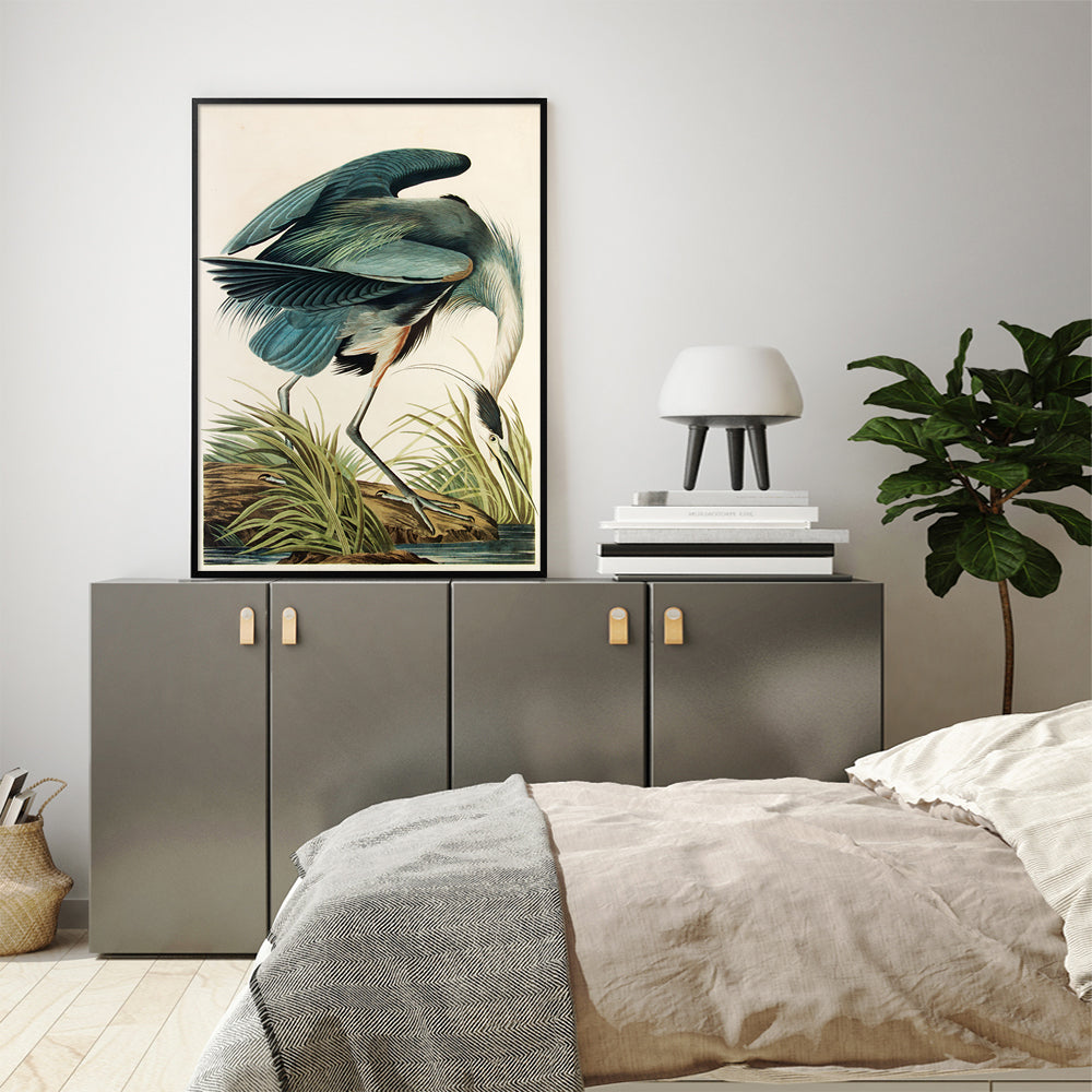 70cmx100cm Great Blue Heron By John James Audubon Black Frame Canvas Wall Art