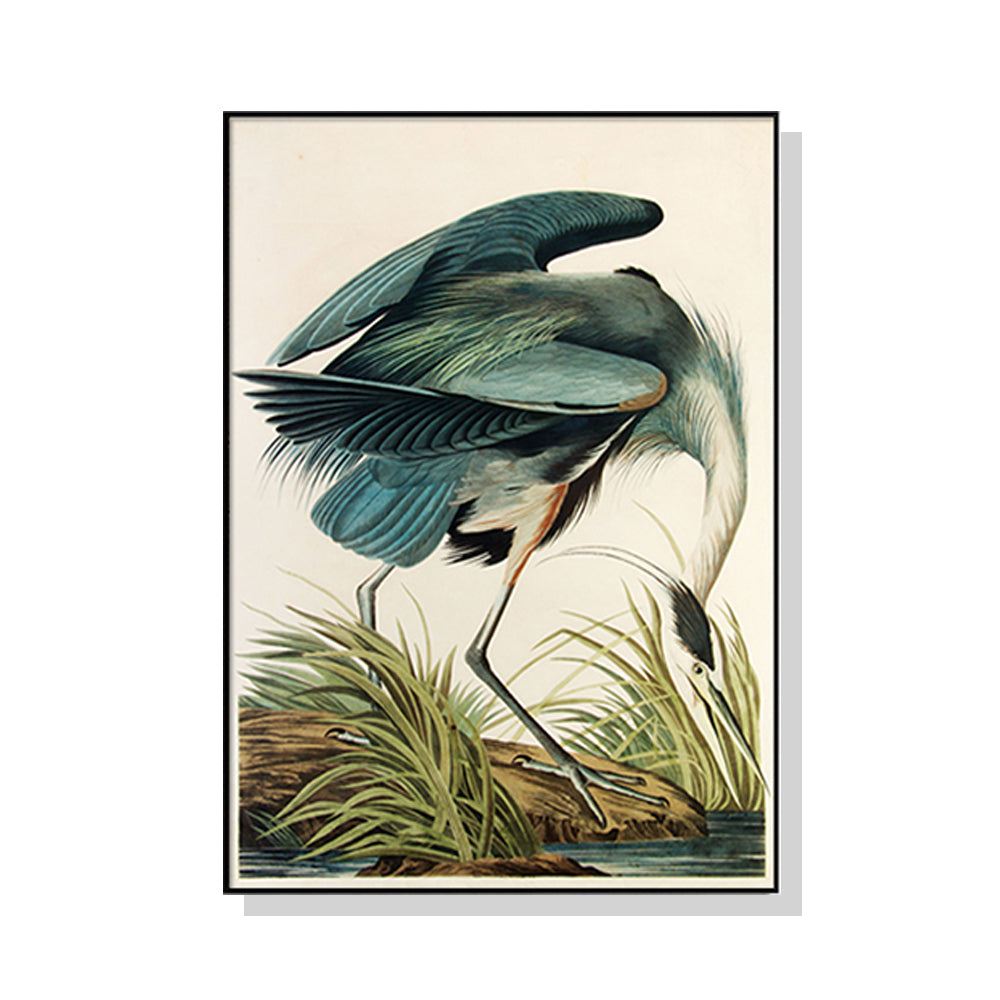 80cmx120cm Great Blue Heron By John James Audubon Black Frame Canvas Wall Art