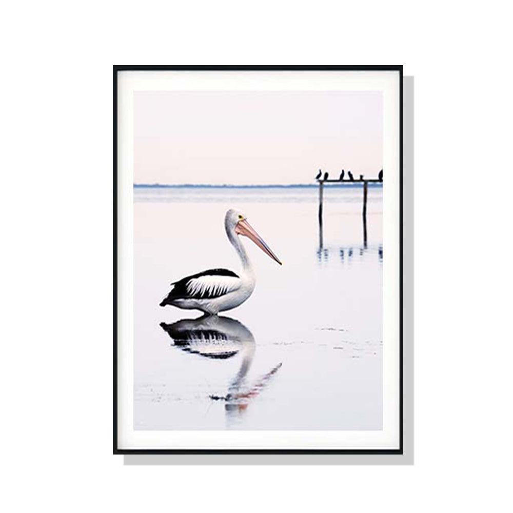 50cmx70cm Pelican Black Frame Canvas Wall Art - FREE SHIPPING