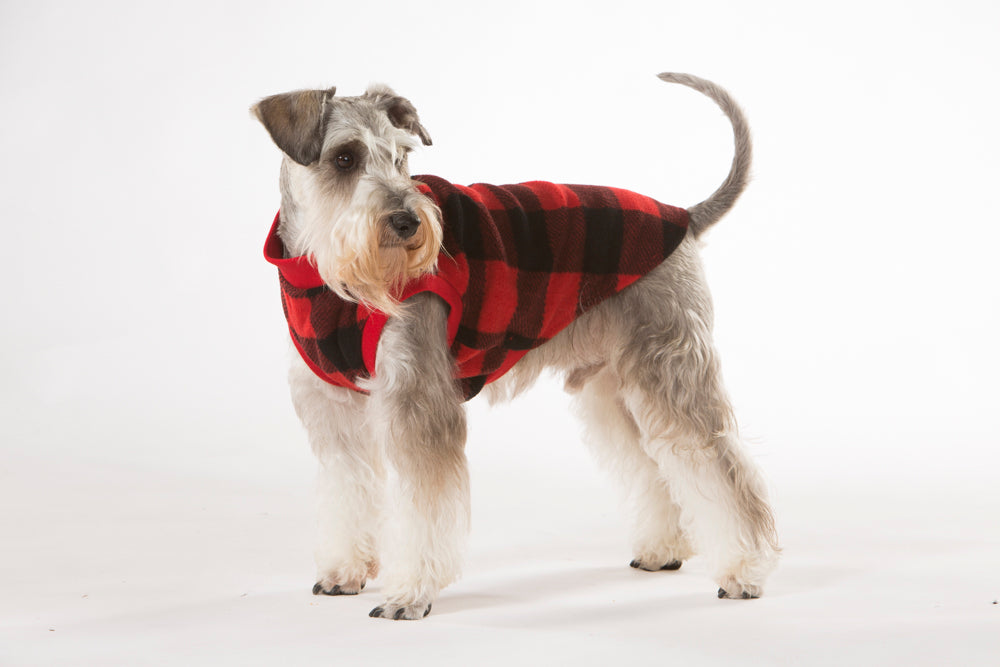 Red Check Dog Pyjamas 50cm