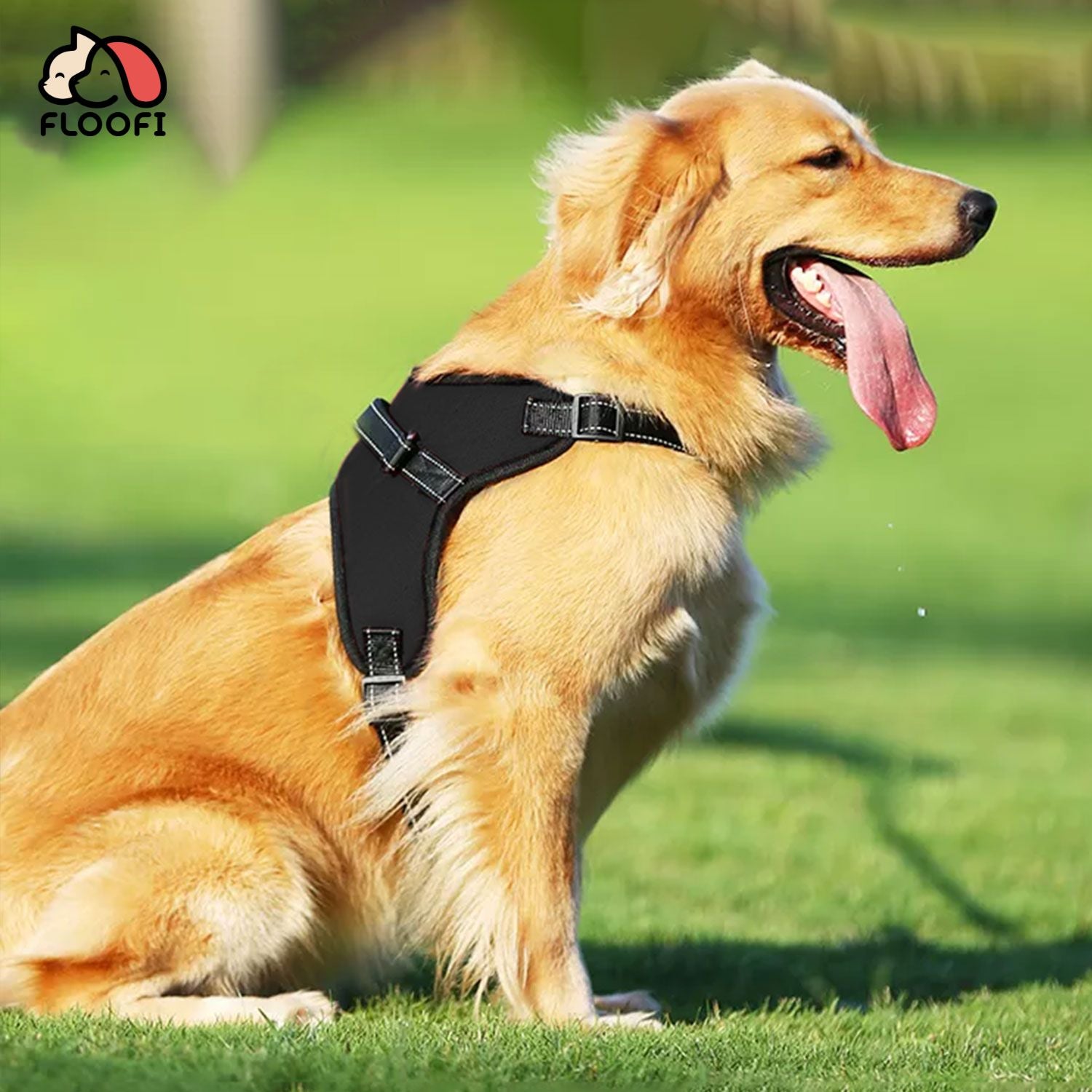 FLOOFI Dog Harness XXL Size (Black) FI-PC-165-XL