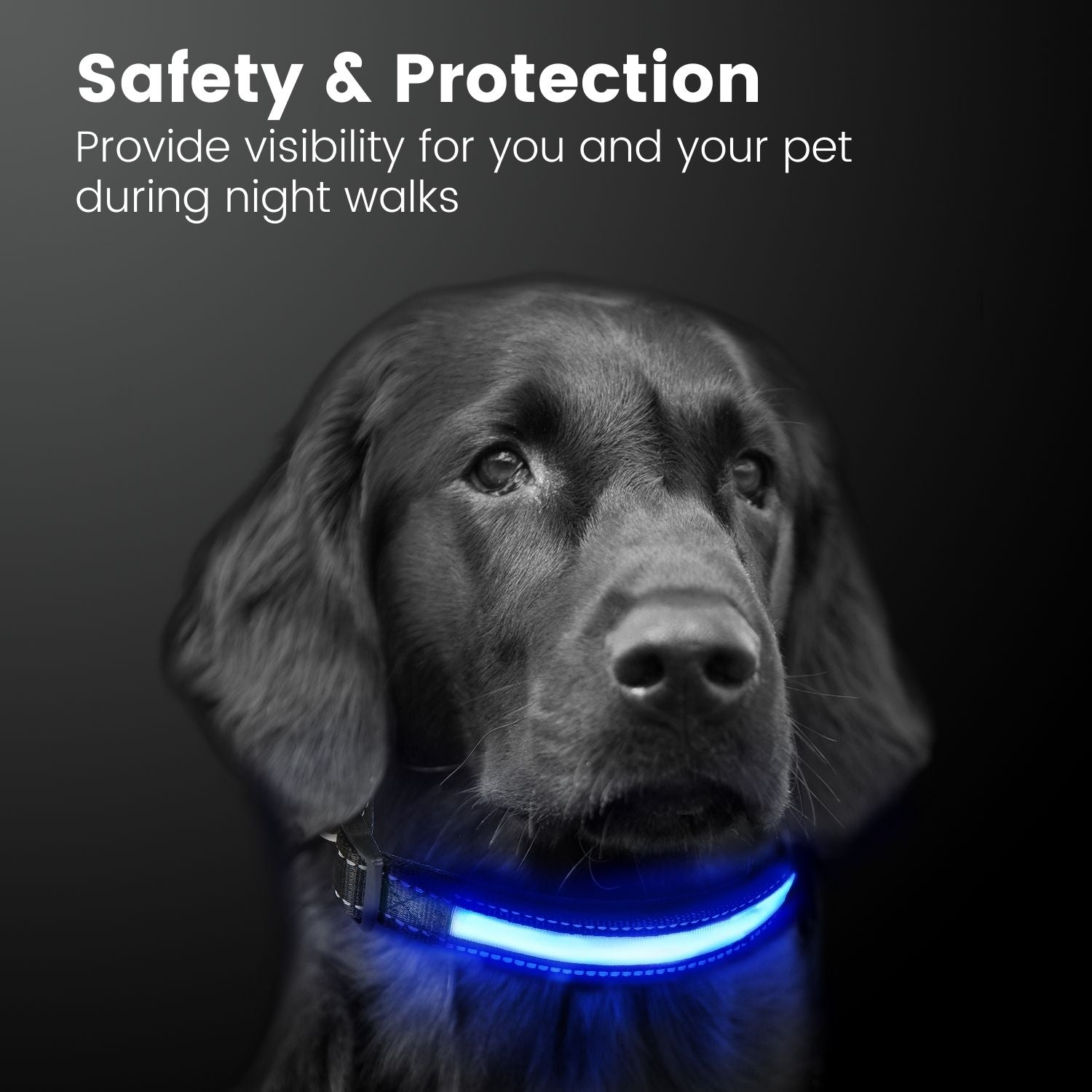 Floofi Solar USB Rechargable LED Dog Collar (M Blue) - PT-DC-136-QQQ