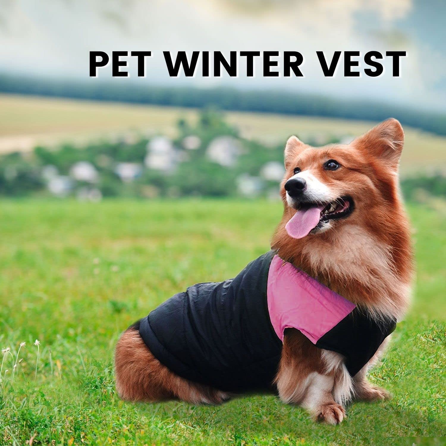 Floofi Pet Winter Vest (4XL Purple) PT-PV-115-QQQ