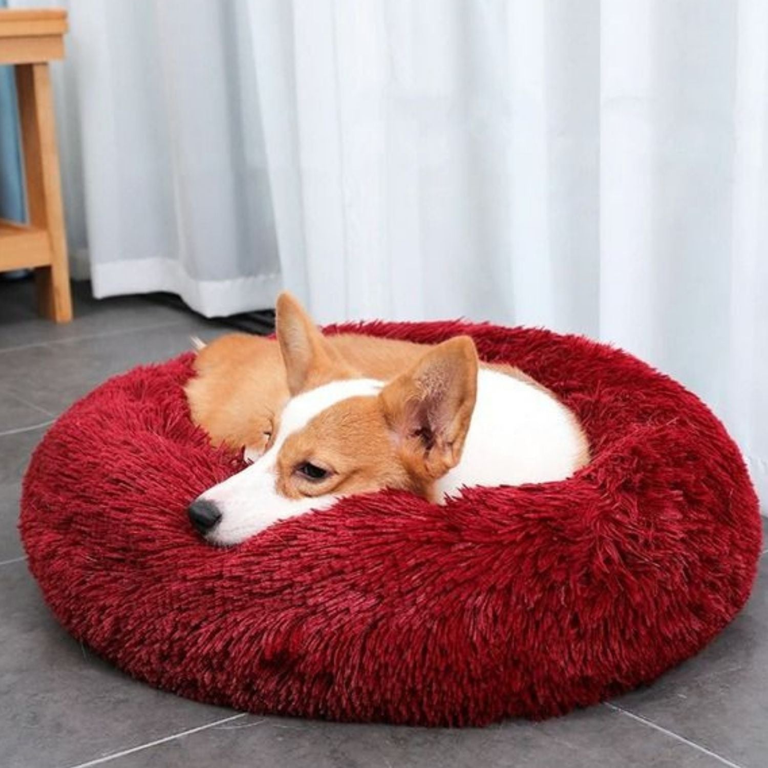 Floofi Pet Bed Round Plush (60cm Apple Green) - PT-PB-229-XL (L22 60cm Apple Green)