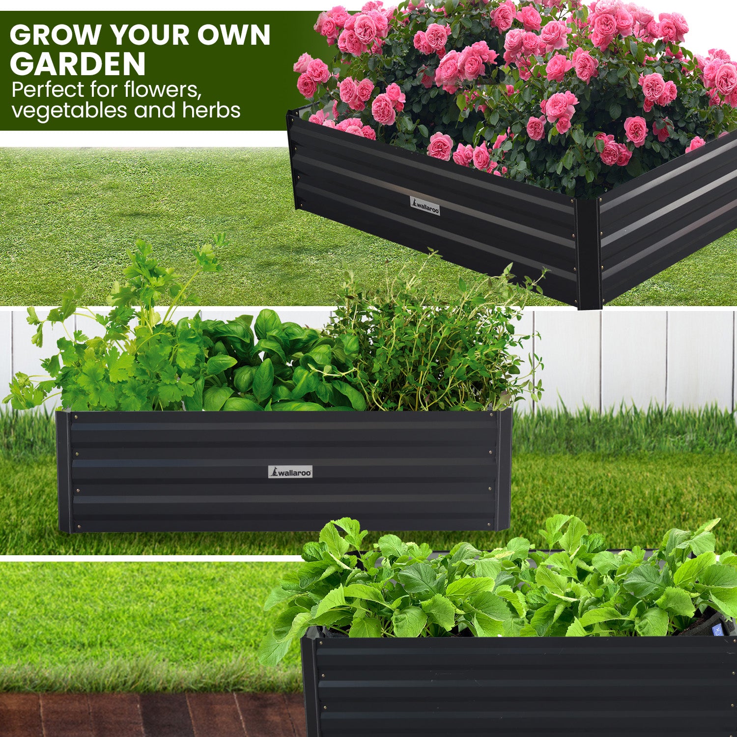 Wallaroo Garden Bed 100 x 60 x 30cm Galvanized Steel - Black