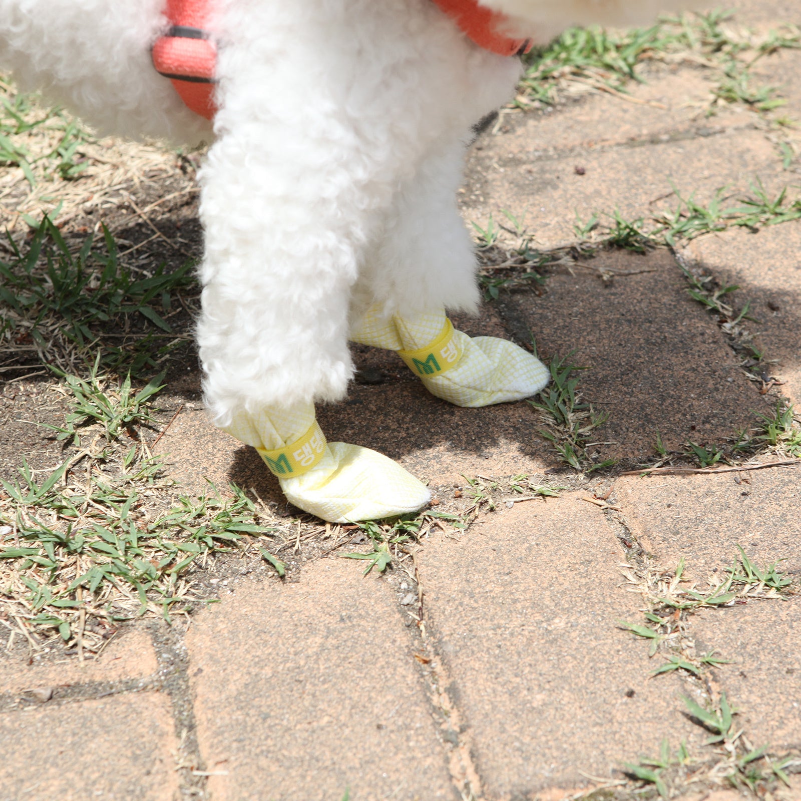 Daeng Daeng Shoes 28pc XS Yellow Dog Shoes Waterproof Disposable Boots Anti-Slip Socks