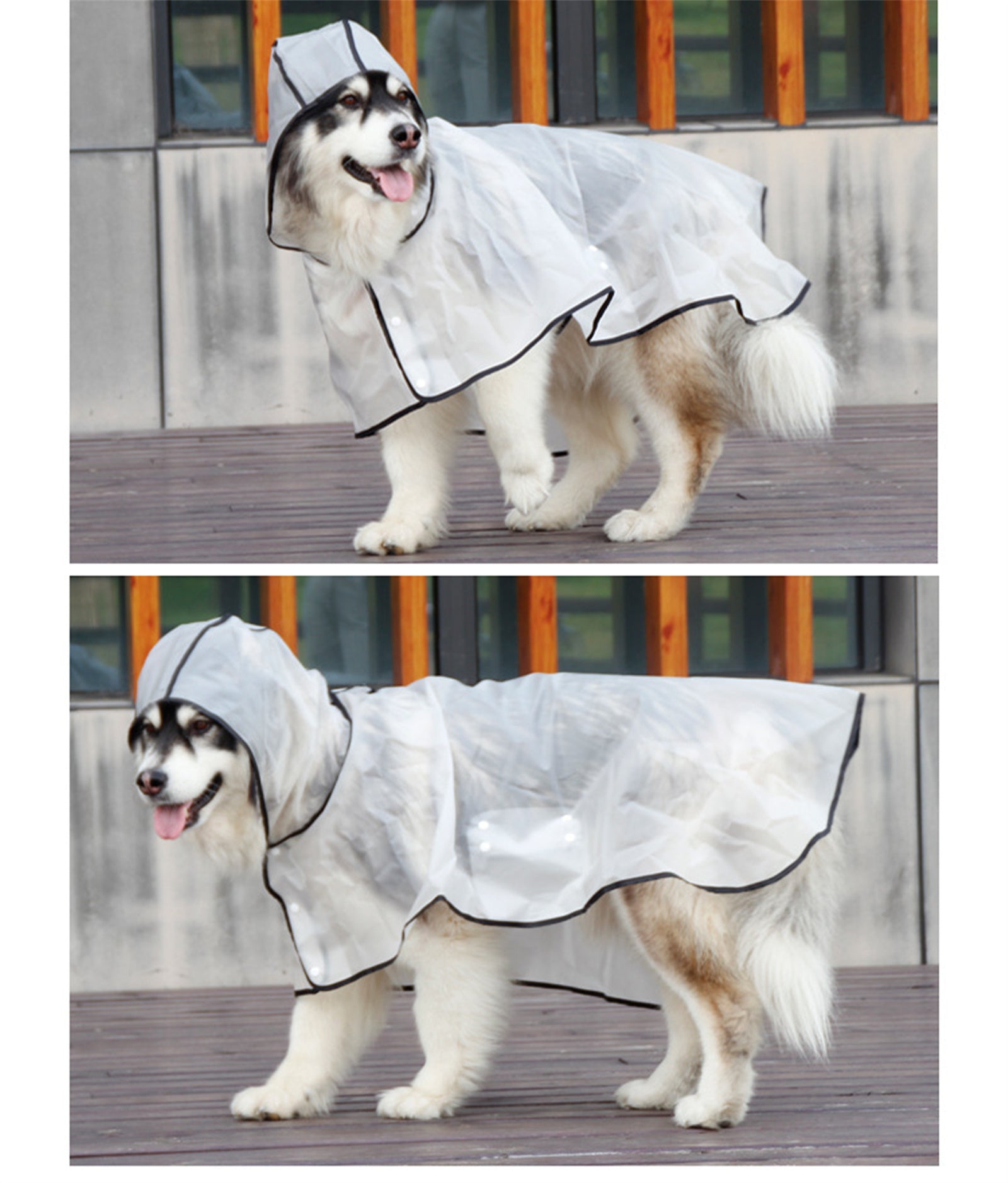 Pawfriends TPU Transparent Pet Cape Raincoat Large Dog Teddy Fado Koki Dog Clothing XL