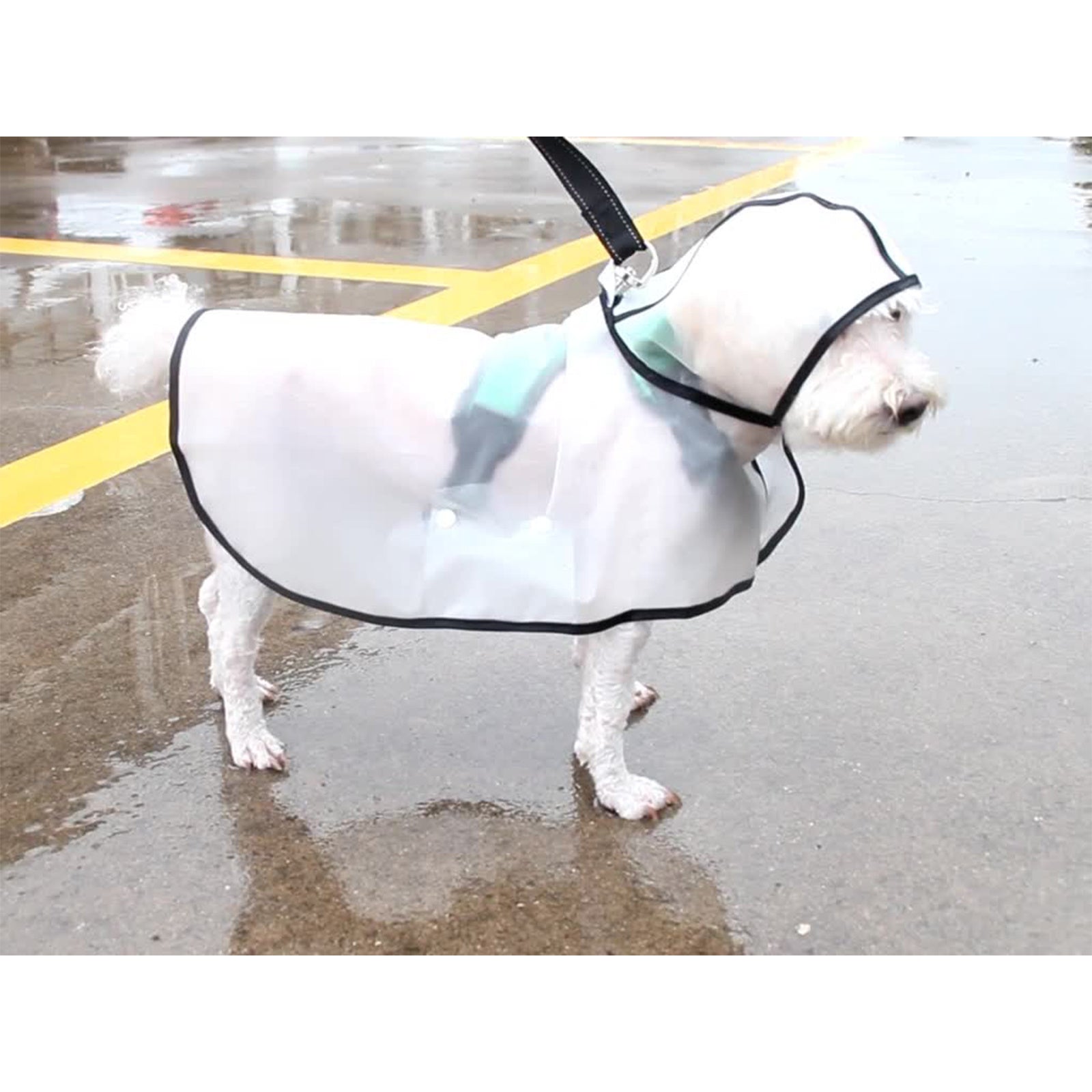 Pawfriends TPU Transparent Pet Cape Raincoat Large Dog Teddy Fado Koki Dog Clothing XL