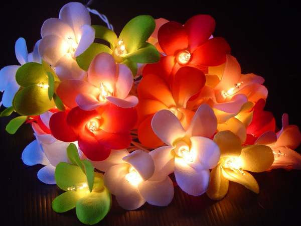 1 Set of 20 LED Tropical Bright Colous Frangipani Flower Battery String Lights Christmas Gift Home Wedding Party Decoration Outdoor Table Centrepiece