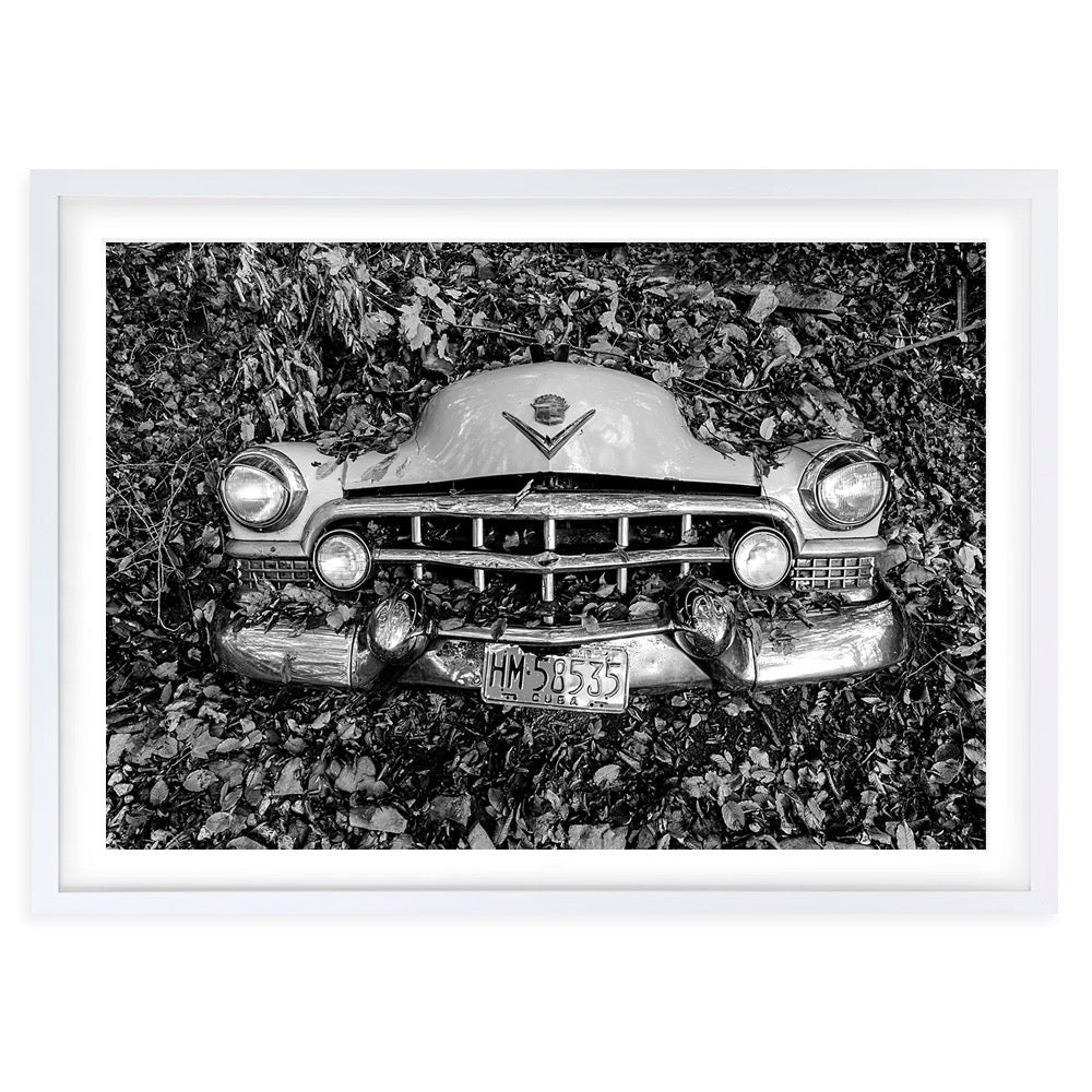 Wall Art's Cuban Forrest Car Large 105cm x 81cm Framed A1 Art Print