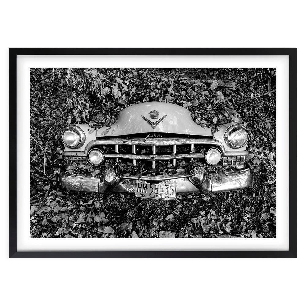 Wall Art's Cuban Forrest Car Large 105cm x 81cm Framed A1 Art Print