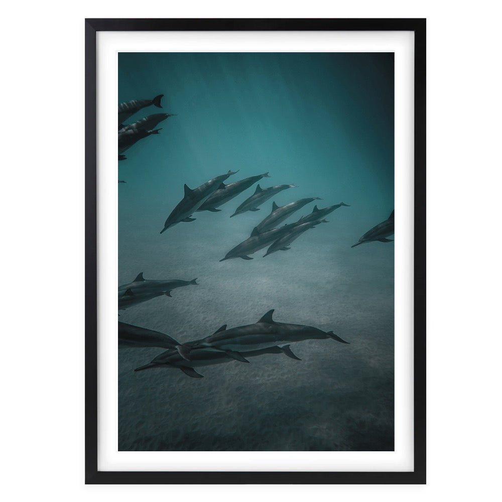 Wall Art's Dolphins In The Deep Large 105cm x 81cm Framed A1 Art Print