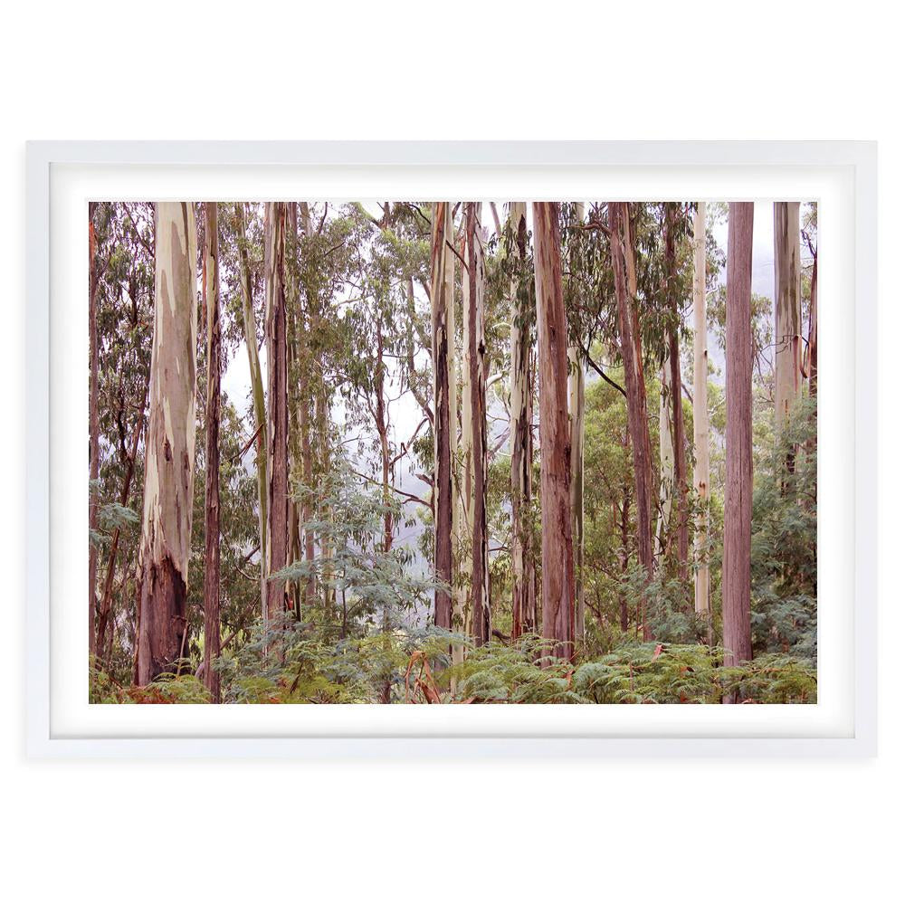 Wall Art's Eucalyptus Forrest Large 105cm x 81cm Framed A1 Art Print