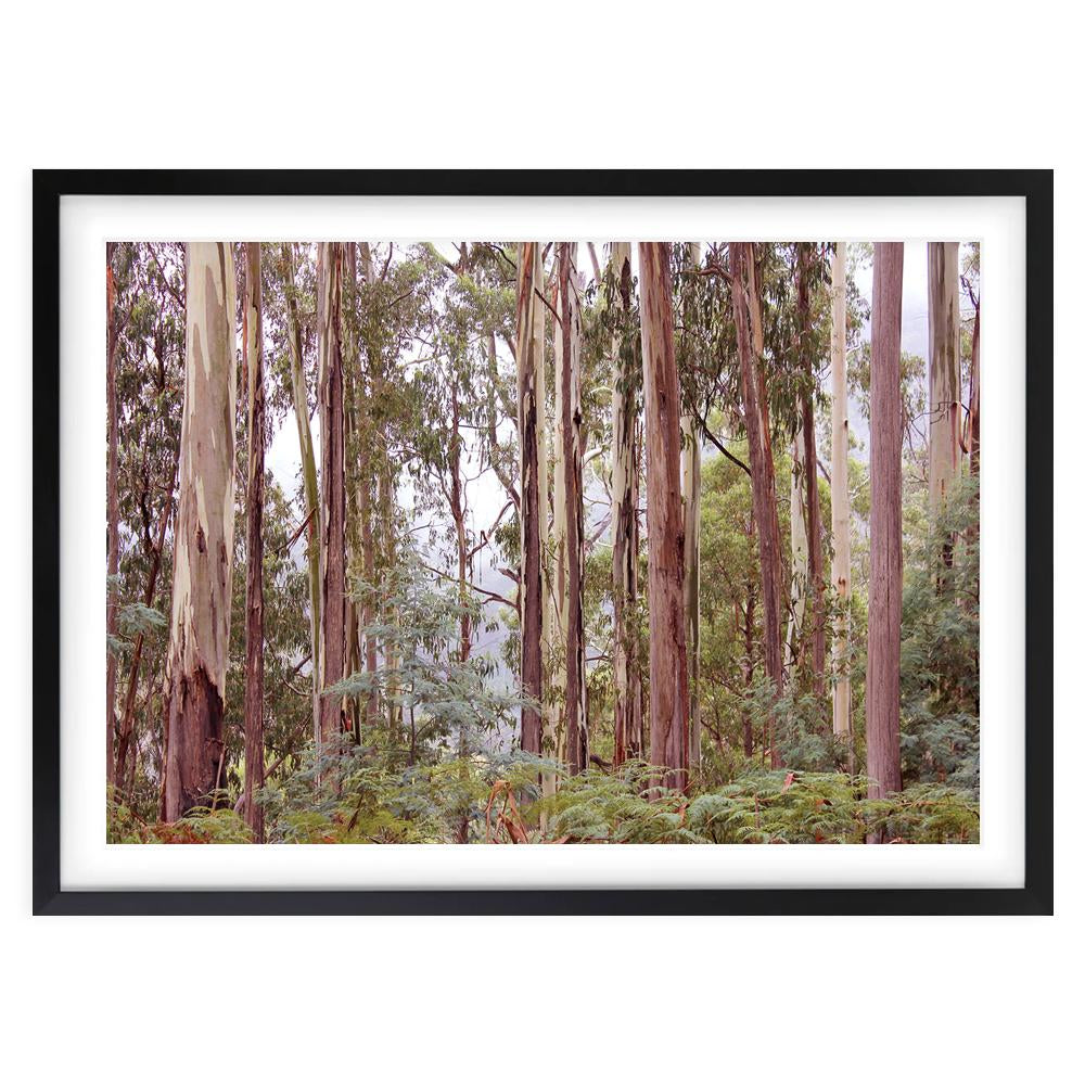 Wall Art's Eucalyptus Forrest Large 105cm x 81cm Framed A1 Art Print