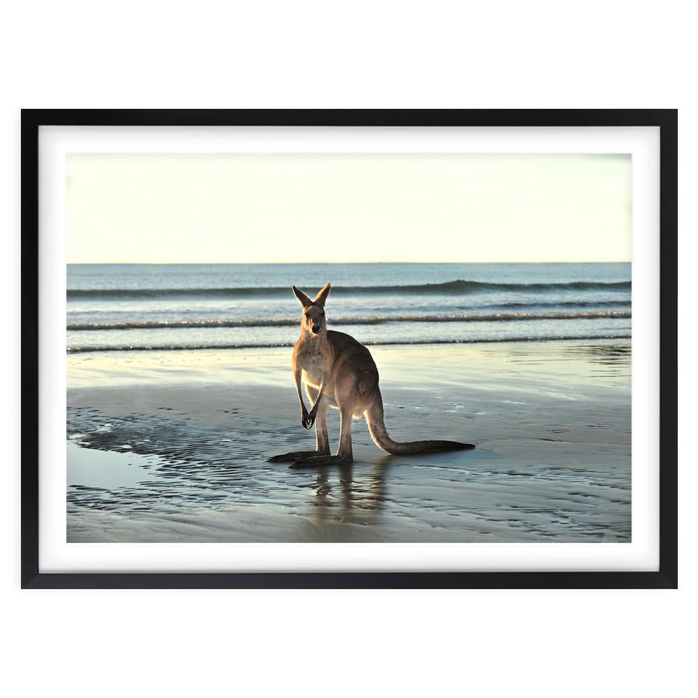 Wall Art's Kangaroo On Beach Large 105cm x 81cm Framed A1 Art Print