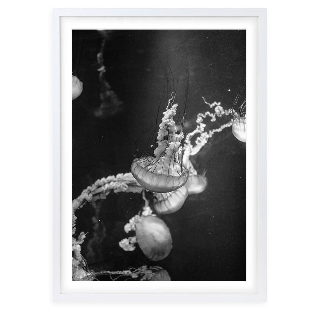 Wall Art's Monochrome Jellyfish Large 105cm x 81cm Framed A1 Art Print