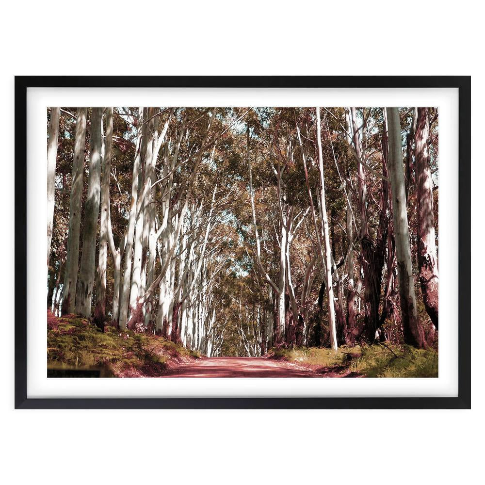 Wall Art's Margaret River Forest Road Large 105cm x 81cm Framed A1 Art Print