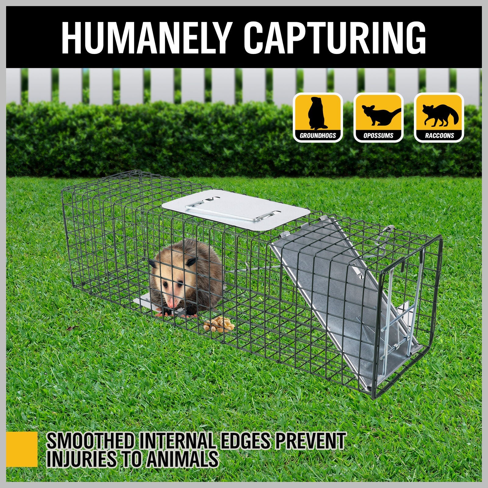 2 Size (small + large)Animal Trap Cage Humane Live Steel Catch Possum Fox Rat Cat Rabbit Bird