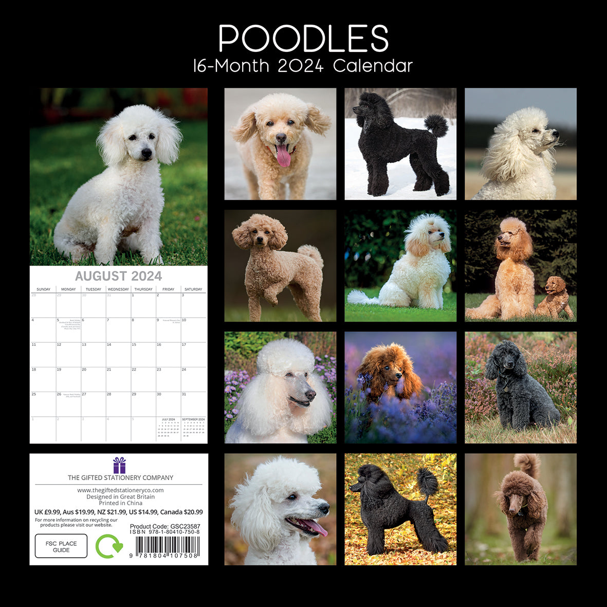 Poodles - 2024 Square Wall Calendar Pets Dog 16 Months Premium Planner