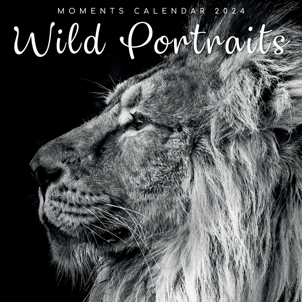 Wild Portraits - 2024 Square Wall Calendar 16 Months Black & White Planner Gift