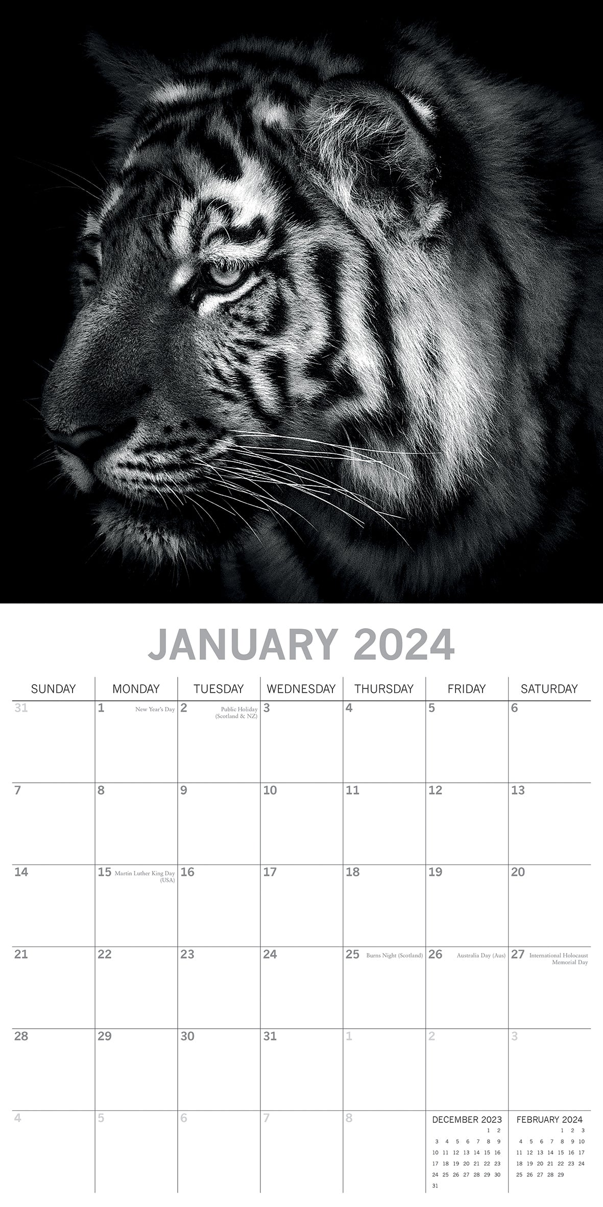 Wild Portraits - 2024 Square Wall Calendar 16 Months Black & White Planner Gift