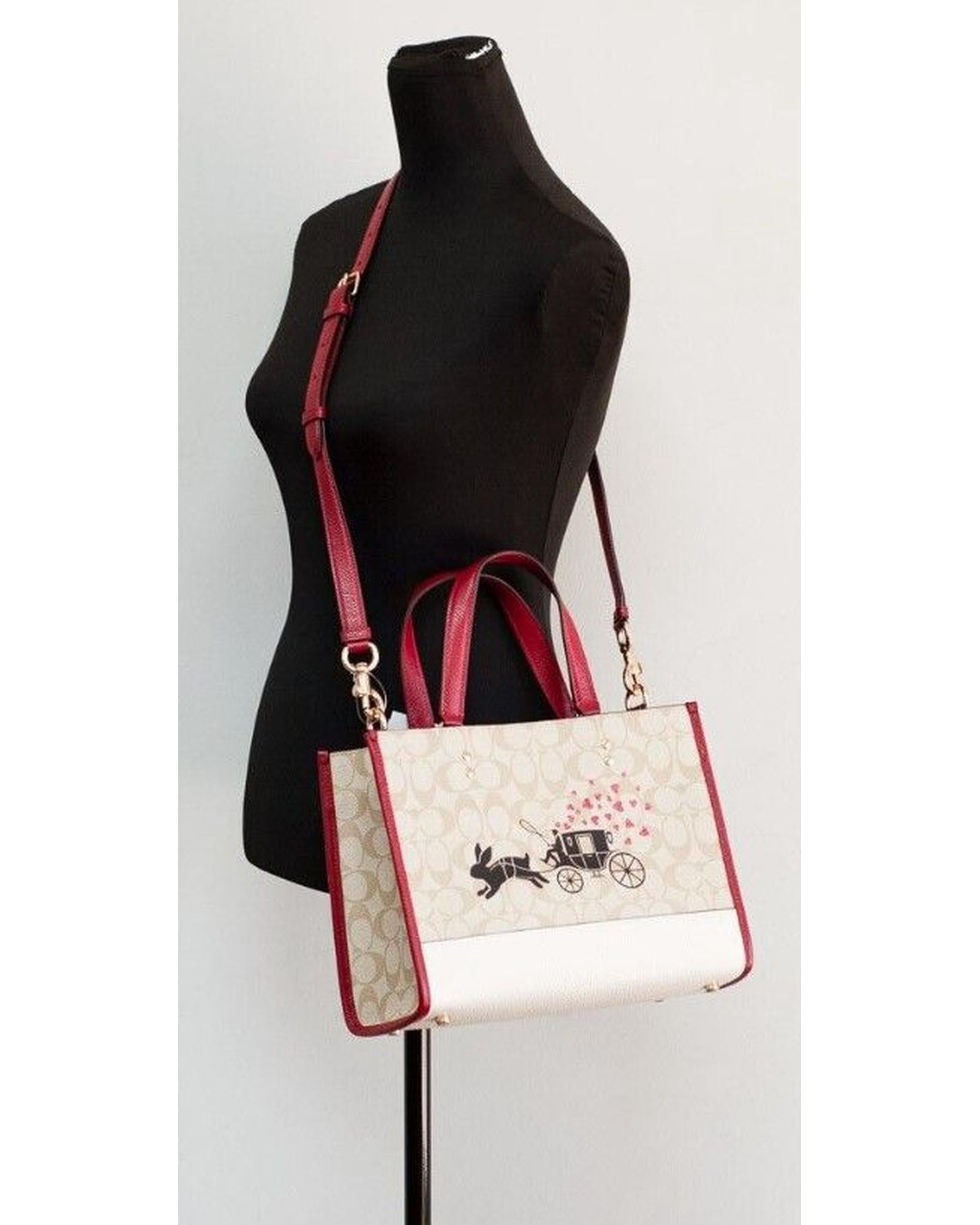 Dempsey Medium Lunar New Year Print Carryall Tote Handbag One Size Women