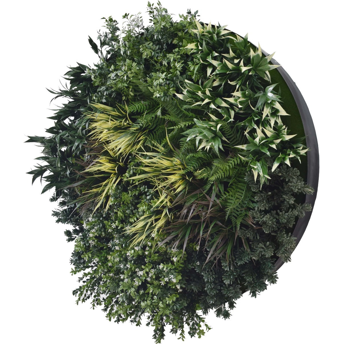 UV Green Field Green Wall Disc (Black) 100cm